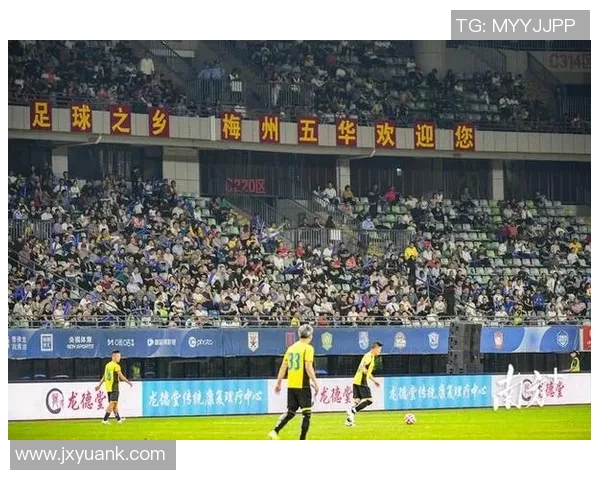 足球明星工资纳税情况揭秘及其税负分析